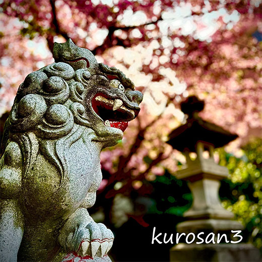 クリックで拡大