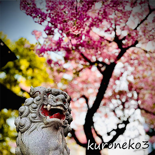 クリックで拡大