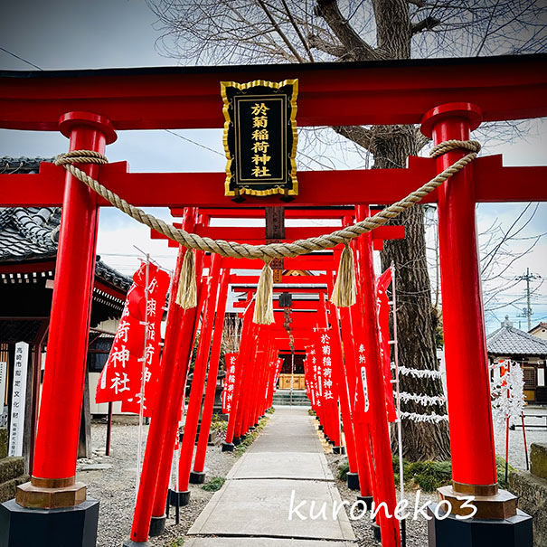 クリックで拡大